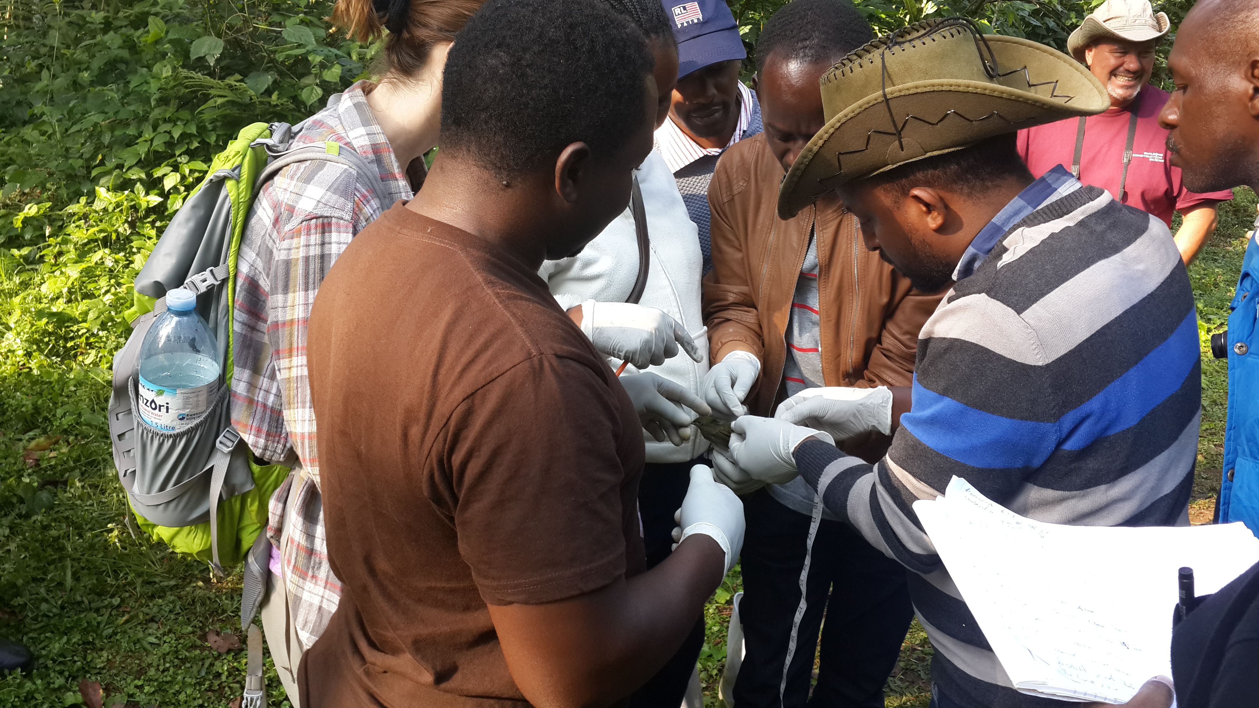 Biological research tools and fieldwork